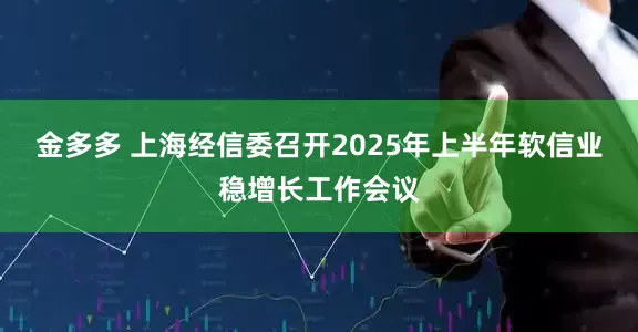 金多多 上海经信委召开2025年上半年软信业稳增长工作会议